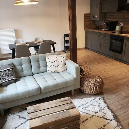 Emile&Jeanne - Centre - 2 Chambres - Wifi, Netflix Wissembourg Eksteriør billede
