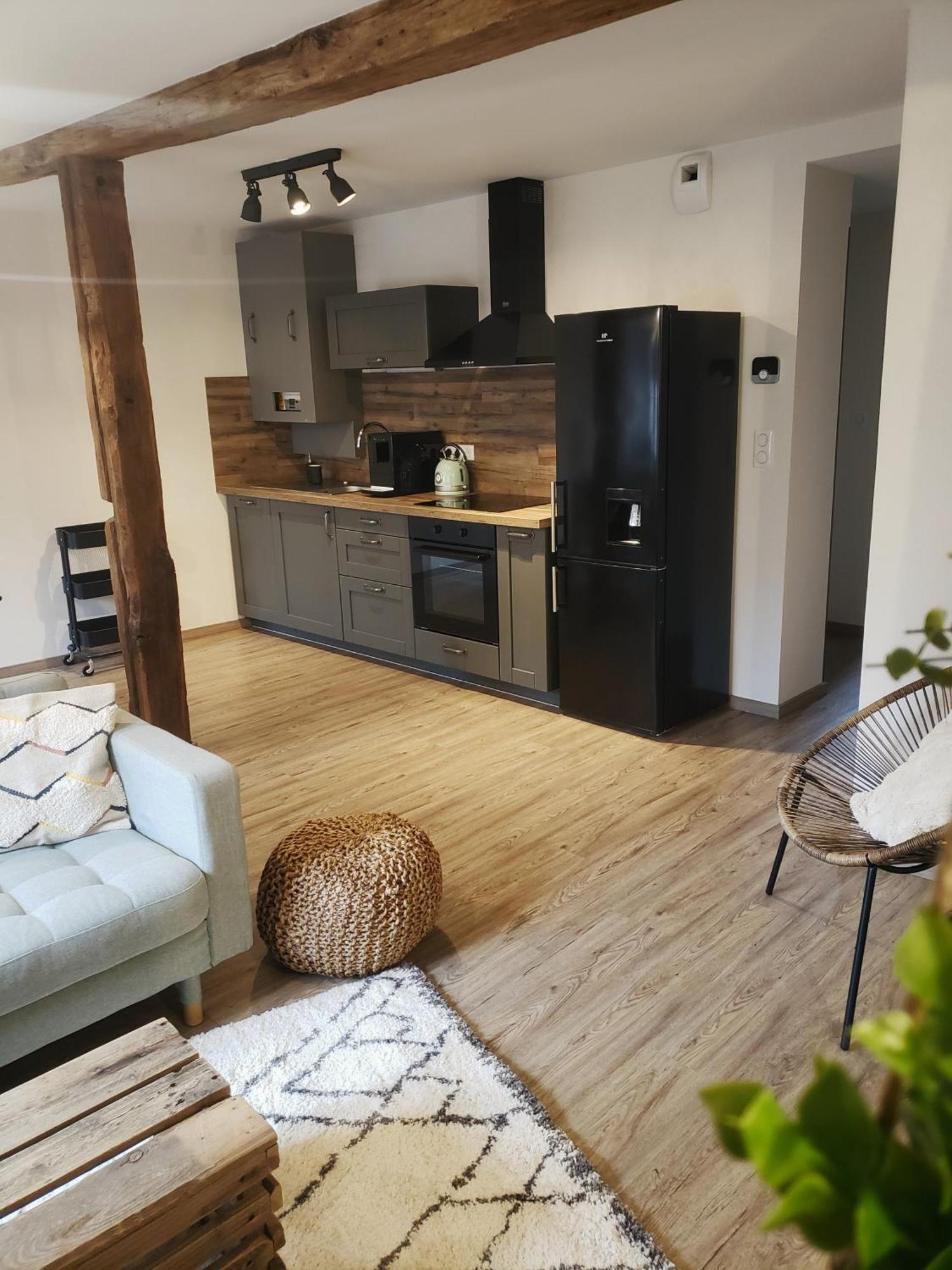 Emile&Jeanne - Centre - 2 Chambres - Wifi, Netflix Wissembourg Eksteriør billede